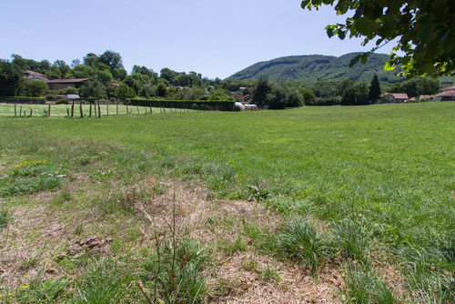 L'Orée de Parménie