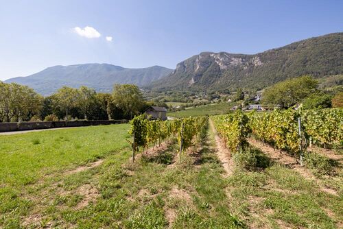 Les Terrasses de Minjoud