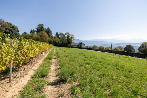 Les Terrasses de Minjoud